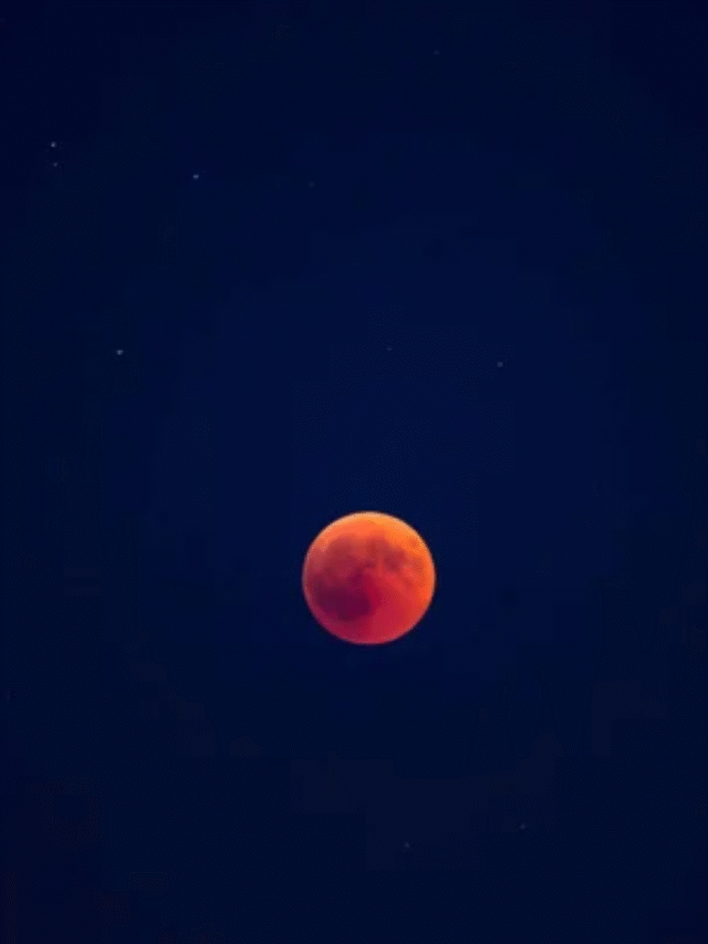 Moon Blushes! લાલ ચંદ્ર!